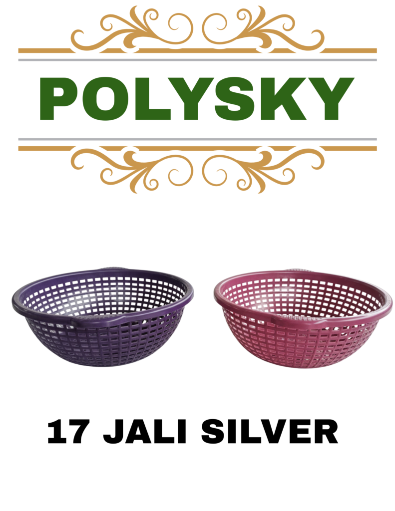 polysky 20251224 213352 0000