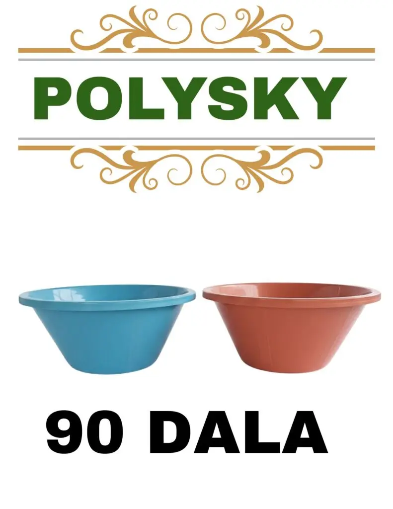 polysky 20251224 232521 0000