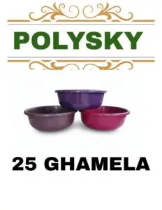 polysky 20251225 073059 0000