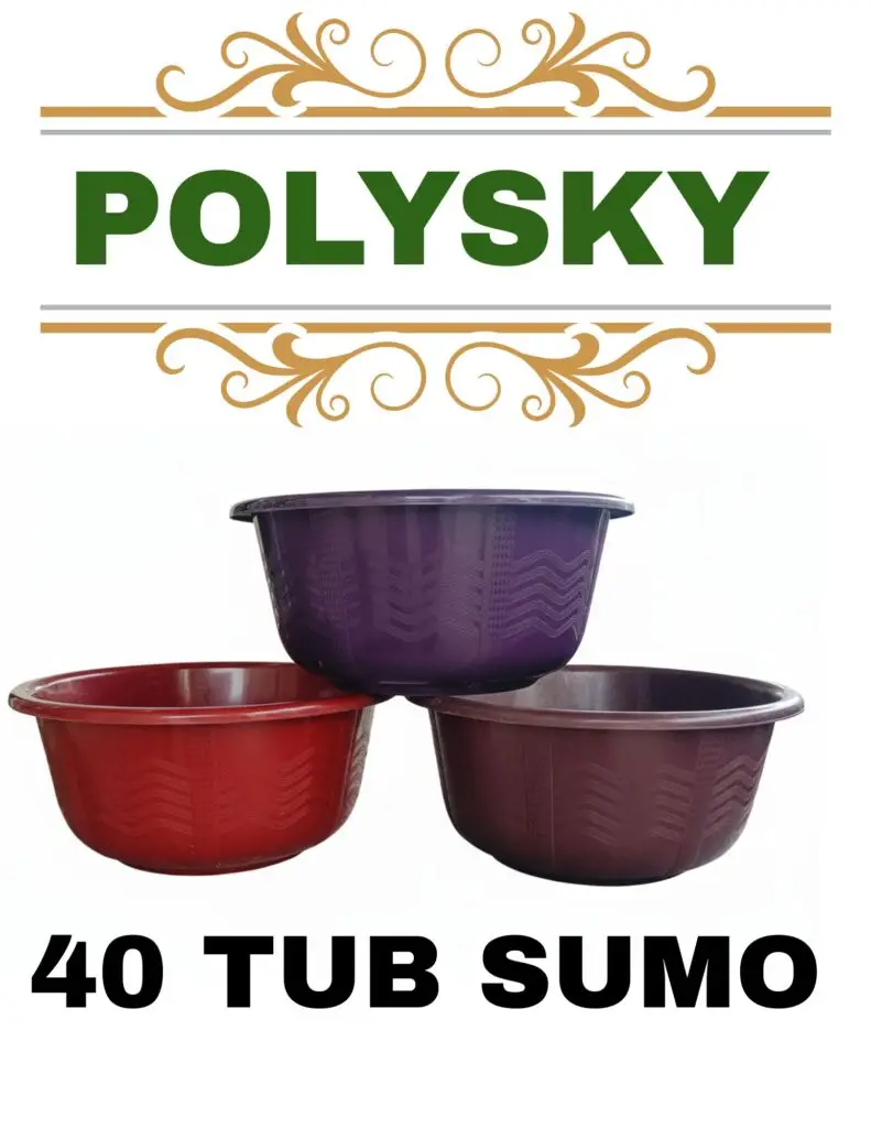 polysky 20251225 074030 0000