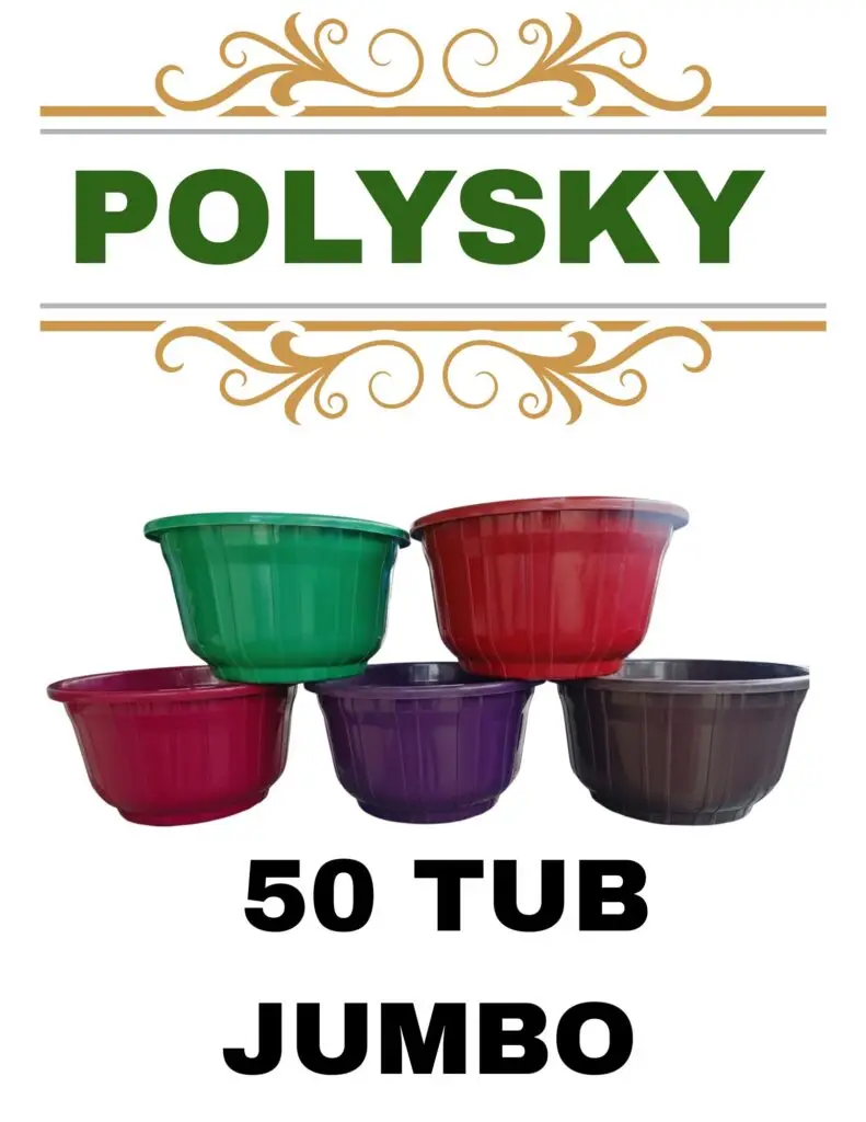 polysky 20251225 075410 0000