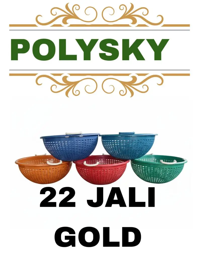 polysky 20251225 083253 0000