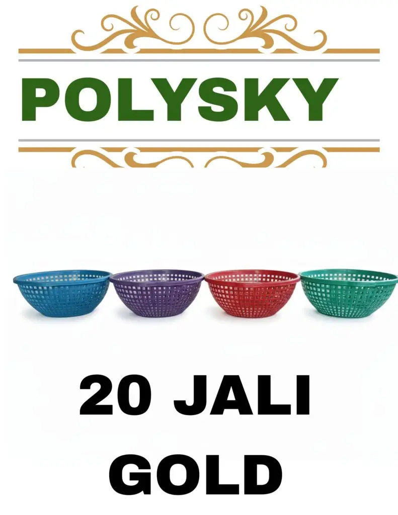 polysky 20251225 083346 0000