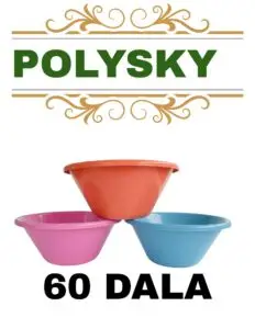 polysky 20251225 083427 0000
