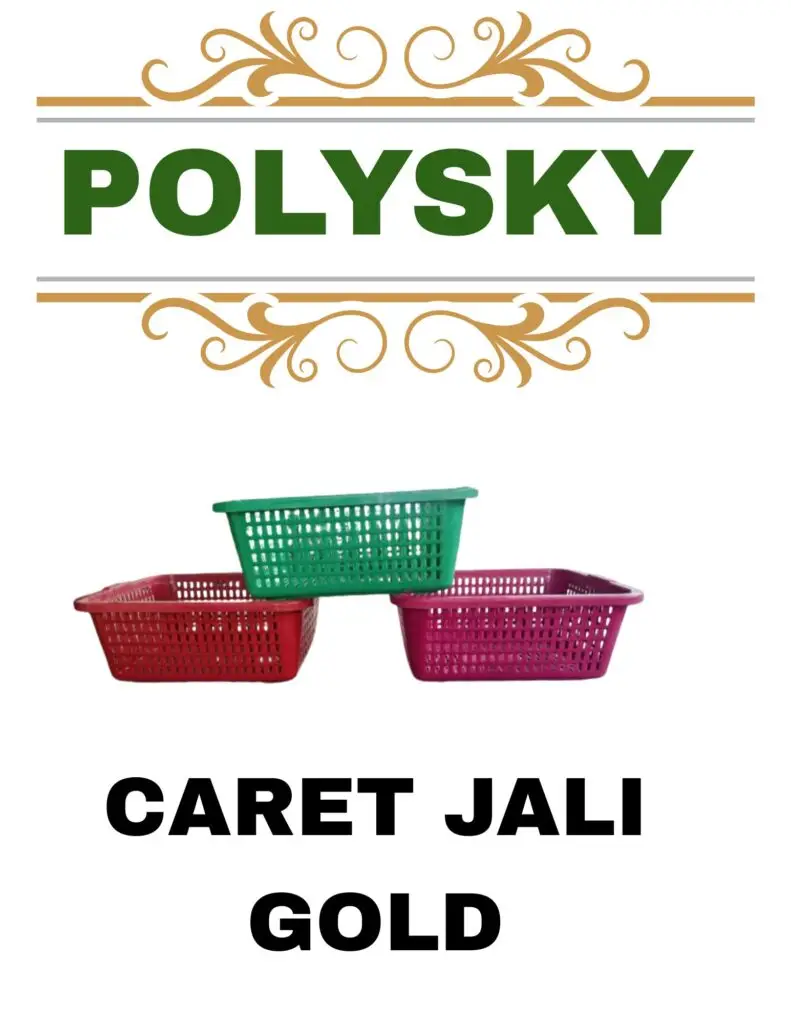 polysky 20251225 092137 0000
